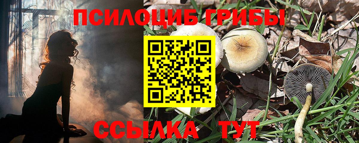 ГАШИШ  МАРИХУАНА  Меф МЯУ МЯУ кристаллы  ЭКСТАЗИ  Вход с VPN  Новокубанск  Мефедрон 