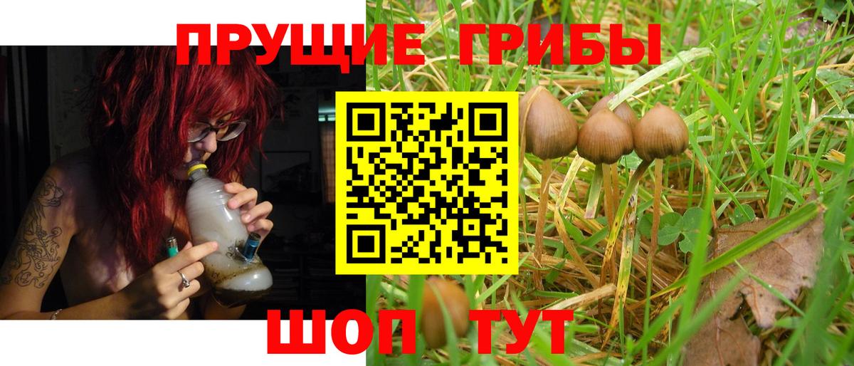 дарнет шоп  Вход с VPN  Новокубанск  Галлюциногенные грибы Magic Shrooms 