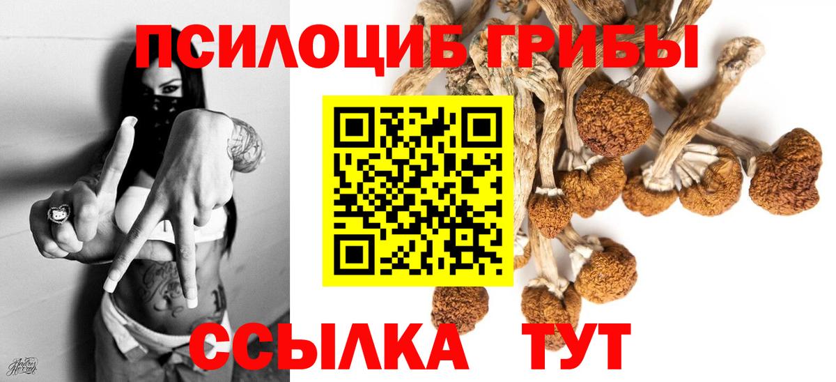 Галлюциногенные грибы GOLDEN TEACHER Новокубанск